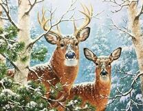 Пара красивых оленей в заснеженном лесу