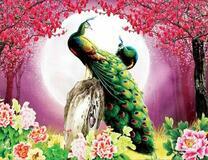 Два павлина на фоне огромной луны