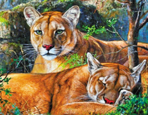 Две львицы на отдыхе