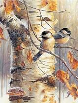 Две синички на осенней берёзке