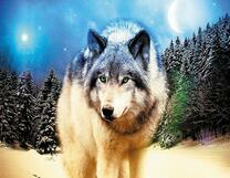 Одинокий волк под луной в зимнем лесу