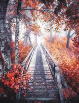 Мостик сквозь осеннюю листву