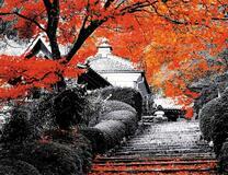 Лестница к загородному дому