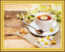 Чай с полевой ромашкой