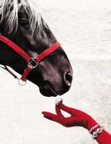 Лошадь и девушка в красных перчатках