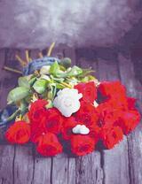 Букет красных роз с белой розой