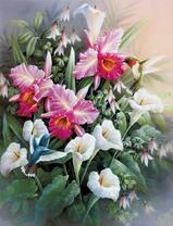 Колибри у цветущих нарциссов и калл