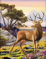 Молодой олень в горах