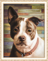 Милый пёсик с коричневым ошейником