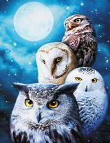 Четыре совы на фоне полной луны