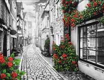 Кусты красных роз на улочке города