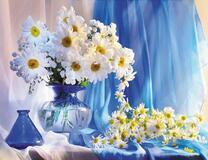 Букет крупных и мелких ромашек на столе