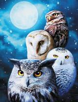 Большое семейство сов под луной