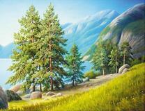 Сосны на берегу горного озера