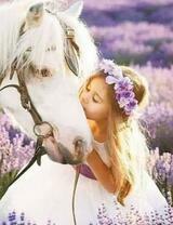 Девочка целует белого пони на лугу