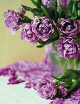 Букет сиреневых тюльпанов