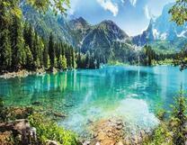 Прозрачные воды лесного озера в горах