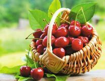 Плетёная корзинка со спелой черешней