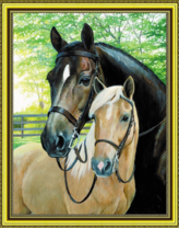 Пара красивых лошадей на фоне деревьев