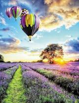 Четыре воздушных шара и рассвет над лавандовым полем