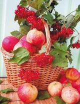 Корзинка с яблоками и калиной