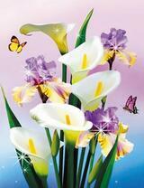 Букет калл с ирисами