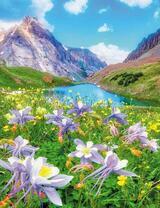 Альпийские цветы у озера