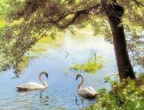 Два белых лебедя под большим деревом