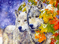 Волки под снегом и золотистые листья