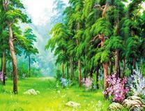 Красота соснового леса