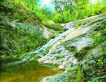 Горный ручей