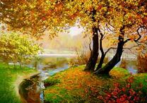 Дерево с золотистыми листьями на берегу озера