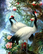 Пара красноголовых журавлей под яблоней