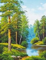 Смешанный лес у тихой летней реки