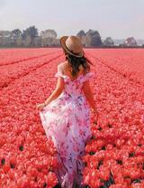 Девушка в летнем платье среди красного поля тюльпанов