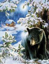 Черный мишка в зимнем лесу у домика