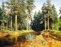 Лесной ручей и высокие сосны