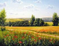 Дорога через цветущий луг и рощи деревьев