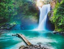 Кристально-чистый водопад в лесу