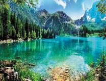 Летняя природа у озера в горах