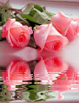 Букет из трёх розочек у воды