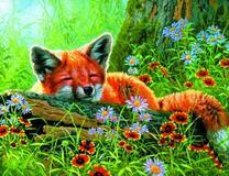 Спящий лисенок в густом лесу