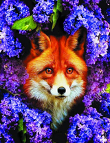 Лиса в цветах сирени