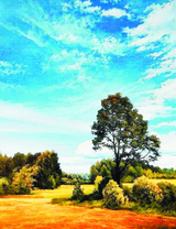 Осенний пейзаж с голубым небом