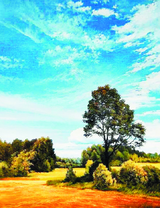 Летний пейзаж у поля