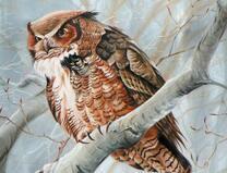 Суровый филин на ветке