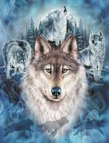 Волки и тёмный ночной лес