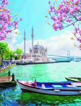 Вид на мечеть Ортакей