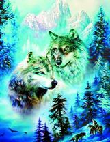 Волки в горном лесу