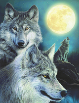 Волчий вой на луну